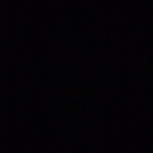 Meet your Posher, Bob